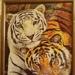 ���������, ������ �����, 38 ���