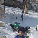 ���� �����, ������, 36 ��� - ��������� 31 ������� 2023 � ������ ���� ����������