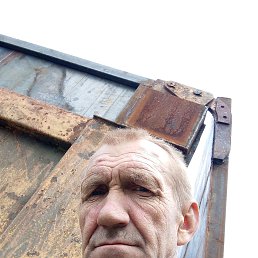 , 54, 