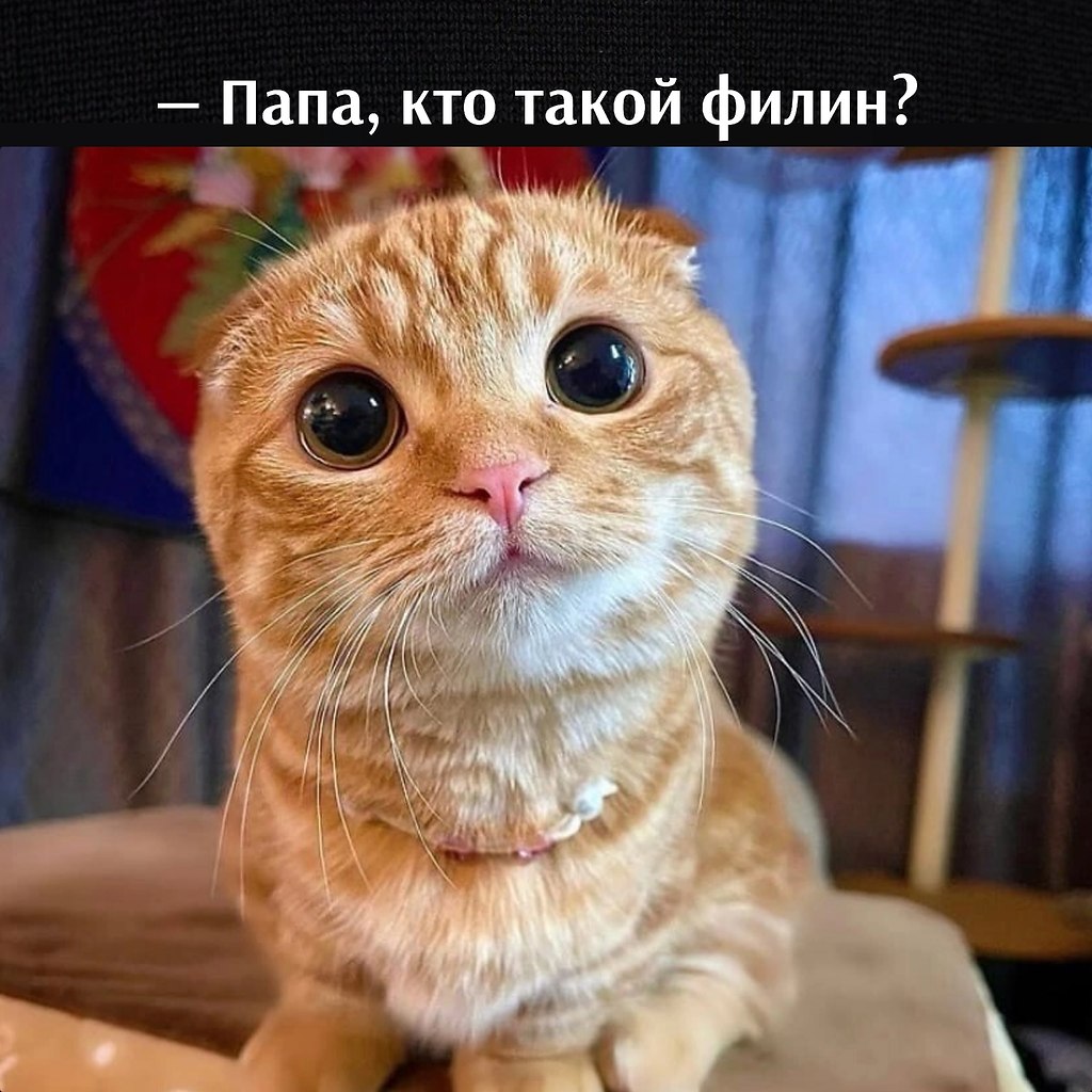       - 21  2025  17:00