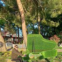 ���� ������, �����������, 45 ��� - ��������� 7 ������ 2024 � ������ ���� ����������