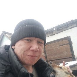 ��������, �����������, 43 ����