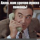 ���� �������, �����������, 43 ���� - ��������� 26 ���� 2024 � ������ ���� ����������
