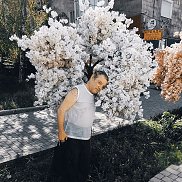 ������, 53 ����, ������