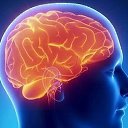 ���� Lxld, �����, 24 ���� - ��������� 19 ������� 2024 � ������ ���� ����������