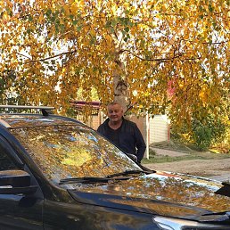 ��������, ������, 63 ����