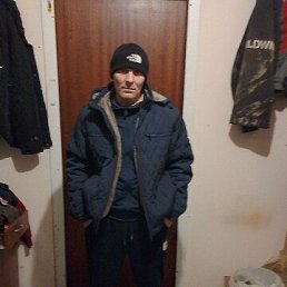 ����, 41 ���, ������������