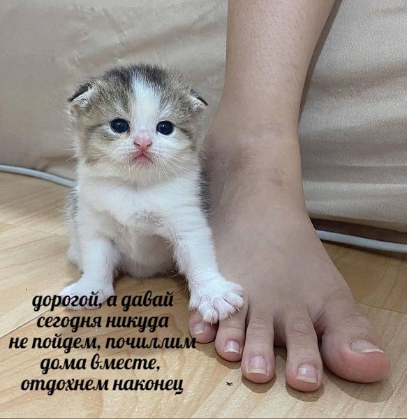    - 28  2024  20:43