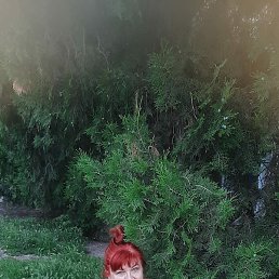 , , 67 
