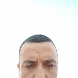 , 37, 