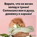 ���� �������, ������������ - ��������� 7 ����� 2026 � ������ ������ ��������