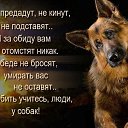���� �����, ��������� - ��������� 6 ������ 2025 � ������ ������ ��������