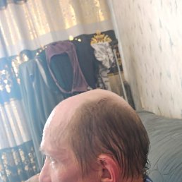 , 46 , 