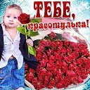 ���� �����, ������, 41 ��� - ��������� 5 ����� 2026 � ������ ���� ����������