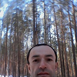, 45, 