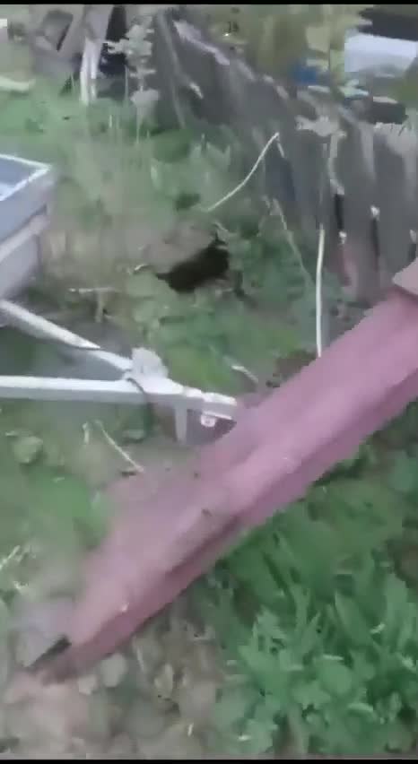 ����� ����������� ���� � � �������� �������