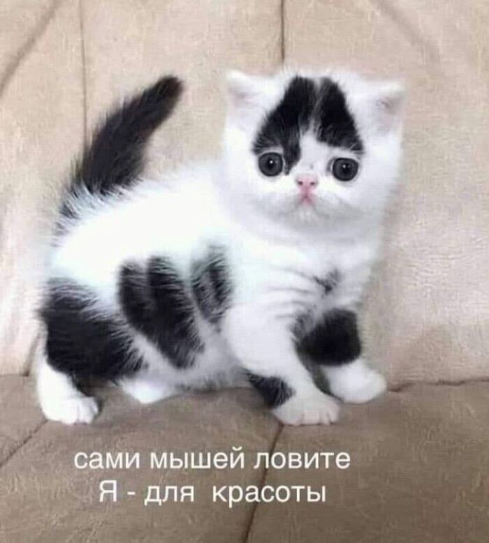   - 6  2025  20:27
