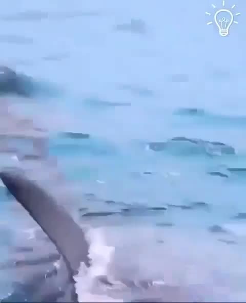 ��� ��� �������� ���� ��������� - 2