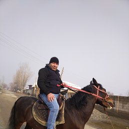 , 45, 