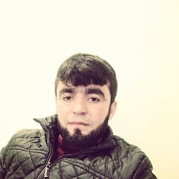 ������, �����, 33 ����