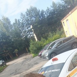 , 41 , -