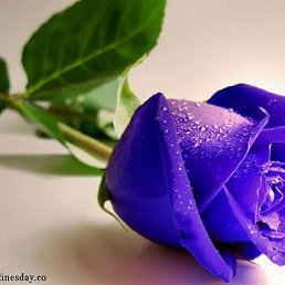 ���� M .U., ������ - ��������� 30 ������ 2026