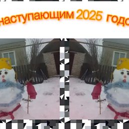 ����, �������, 73 ����