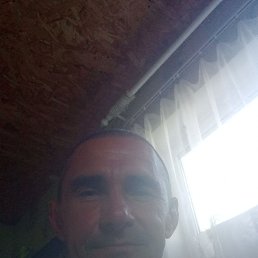 , 48 , 