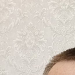 ����, �������, 39 ���