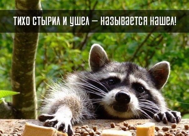  - 6  2023  17:13