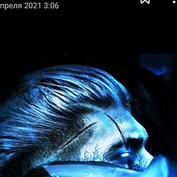 ���� �������, �������, 32 ���� - ��������� 15 ������ 2023