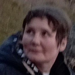 ���, ������, 49 ���