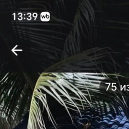 �����, �����, 39 ���