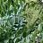 ���� ������, �����, 49 ��� - ��������� 18 ���� 2026