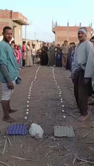  eo a aa-o aa  o ee pepac