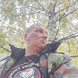 ���������, ������ ��������, 43 ����