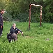 �����, 40 ���, ������