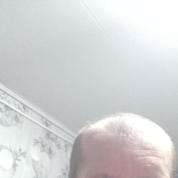 ������, 48 ���, ������