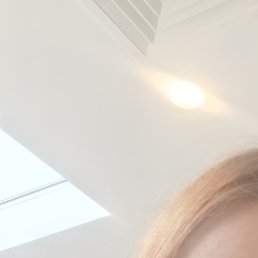 , , 31 
