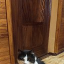 ���� {Pasha, ������� - ��������� 22 ��� 2026 � ������ ���� �����.�