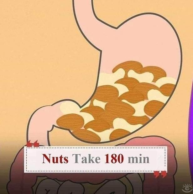 �� ����� o� ���� ������? - 4