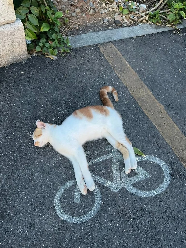 - 
