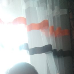 , 61, 