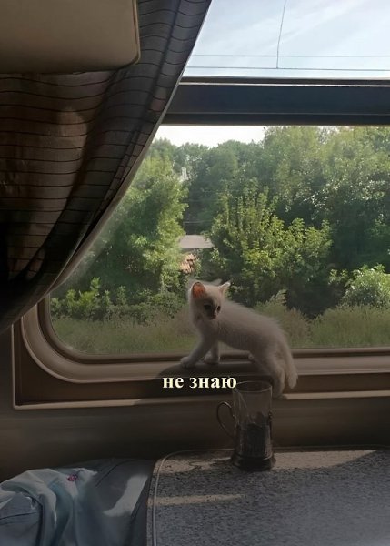 ��� ������ - 5