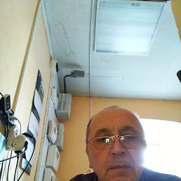 , 65, 