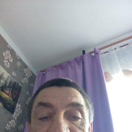 , 52, 