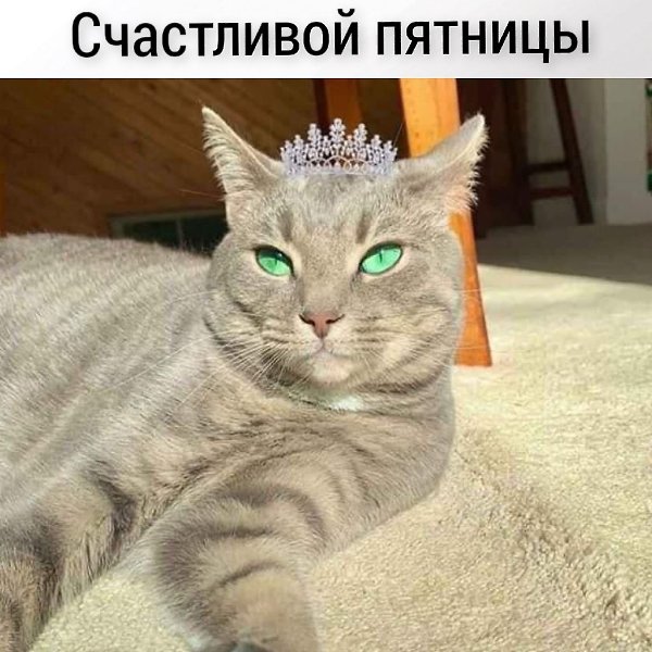 � ������ ��������� �������� ������ �������� ��������� ! . . . - 5