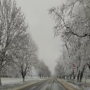 ���� ������, ������������, 55 ��� - ��������� 1 ������ 2026 � ������ ������ ��������