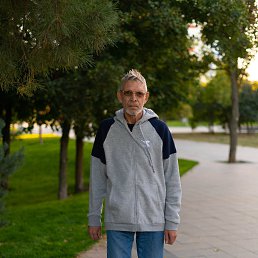 ������, 65 ���, ���������