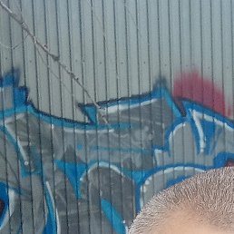 ������, ���������, 56 ���